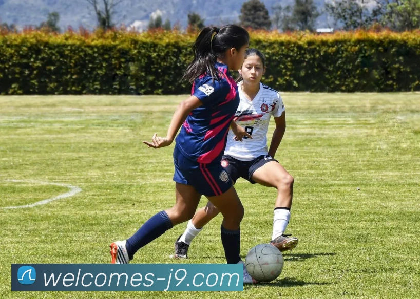 J9国际站官网APP 高清赛事图